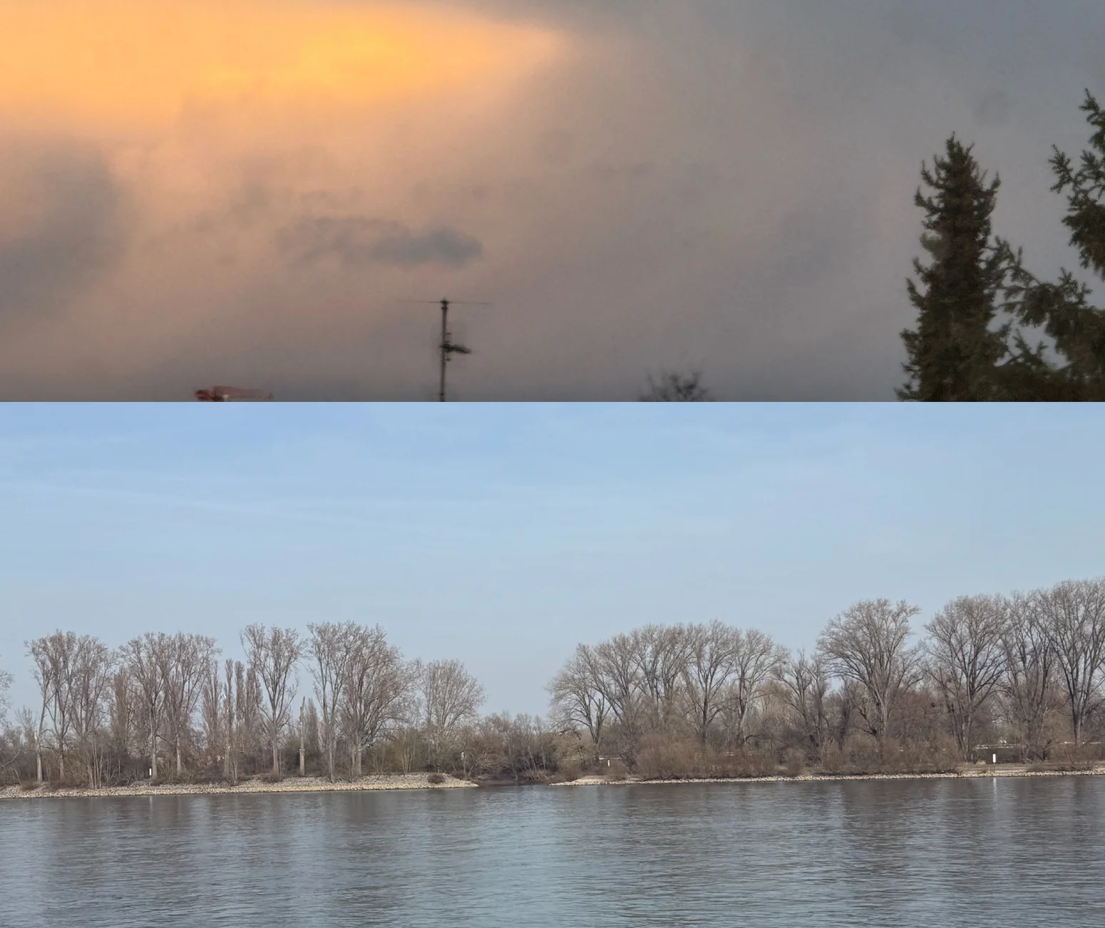 Studieren und am Rhein sitzen
