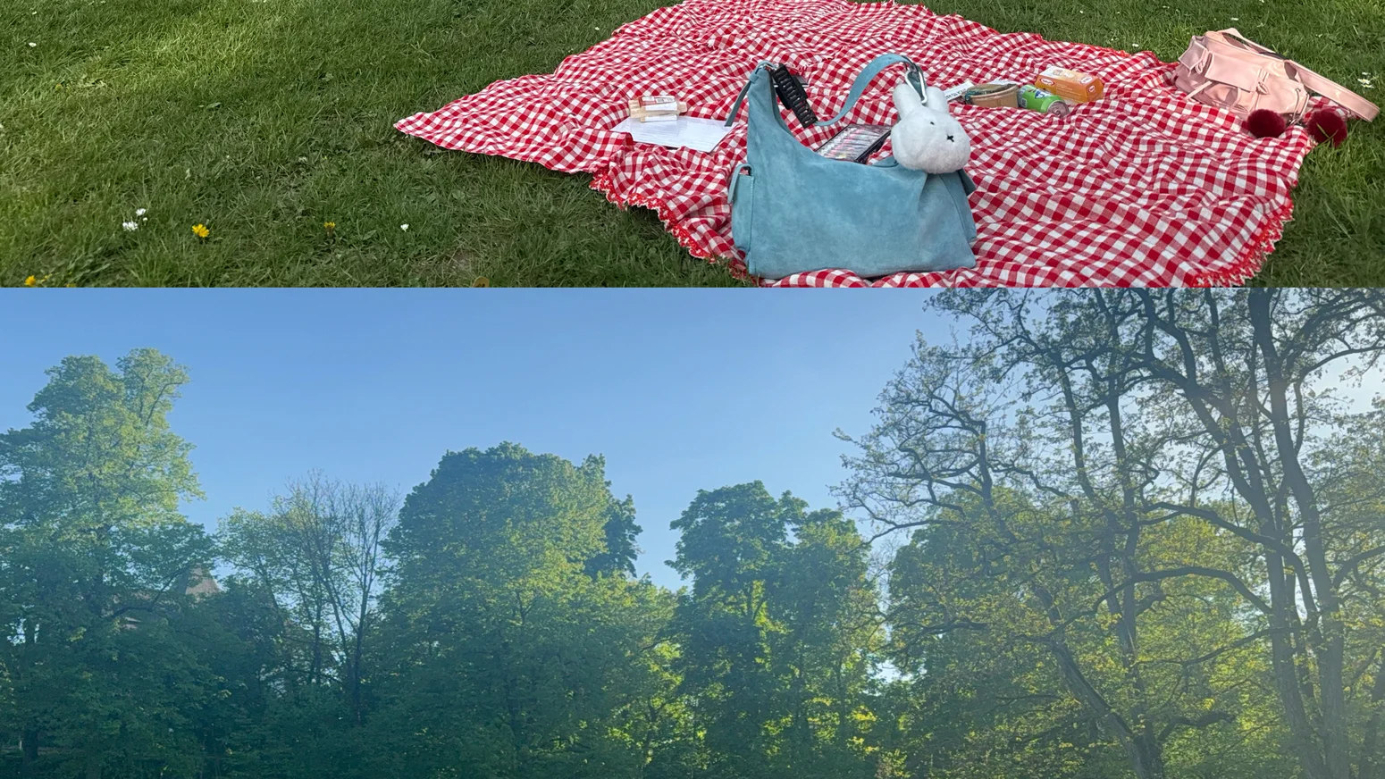 Studieren und picknicken