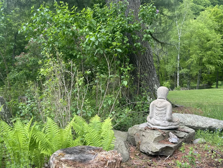 Mindful Leadership Lernort Odenwald