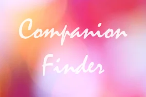 Logo von Companion Finder